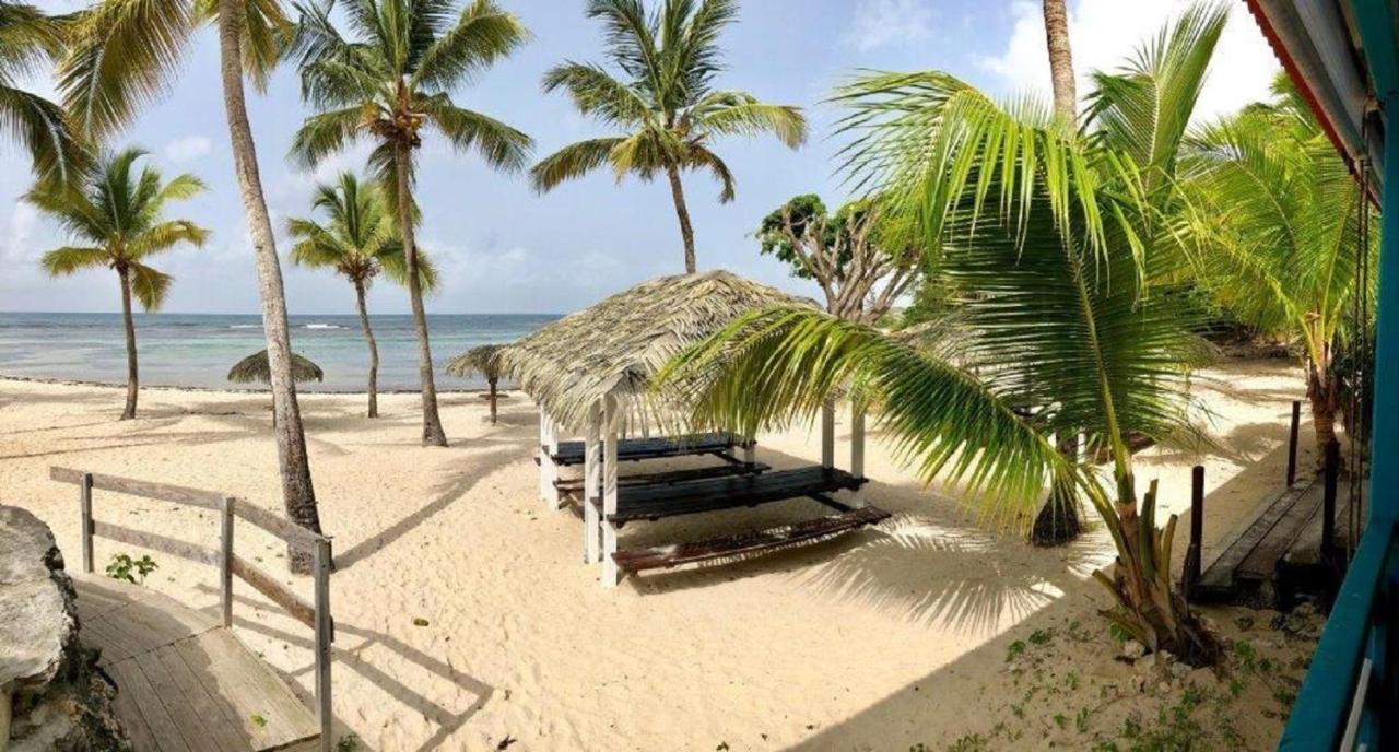 Studio Mojito Vue Mer,Piscine Avec Cuve Eau Et Acces Plage Et Piscine Anse Des Rochers Saint-Francois  Luaran gambar