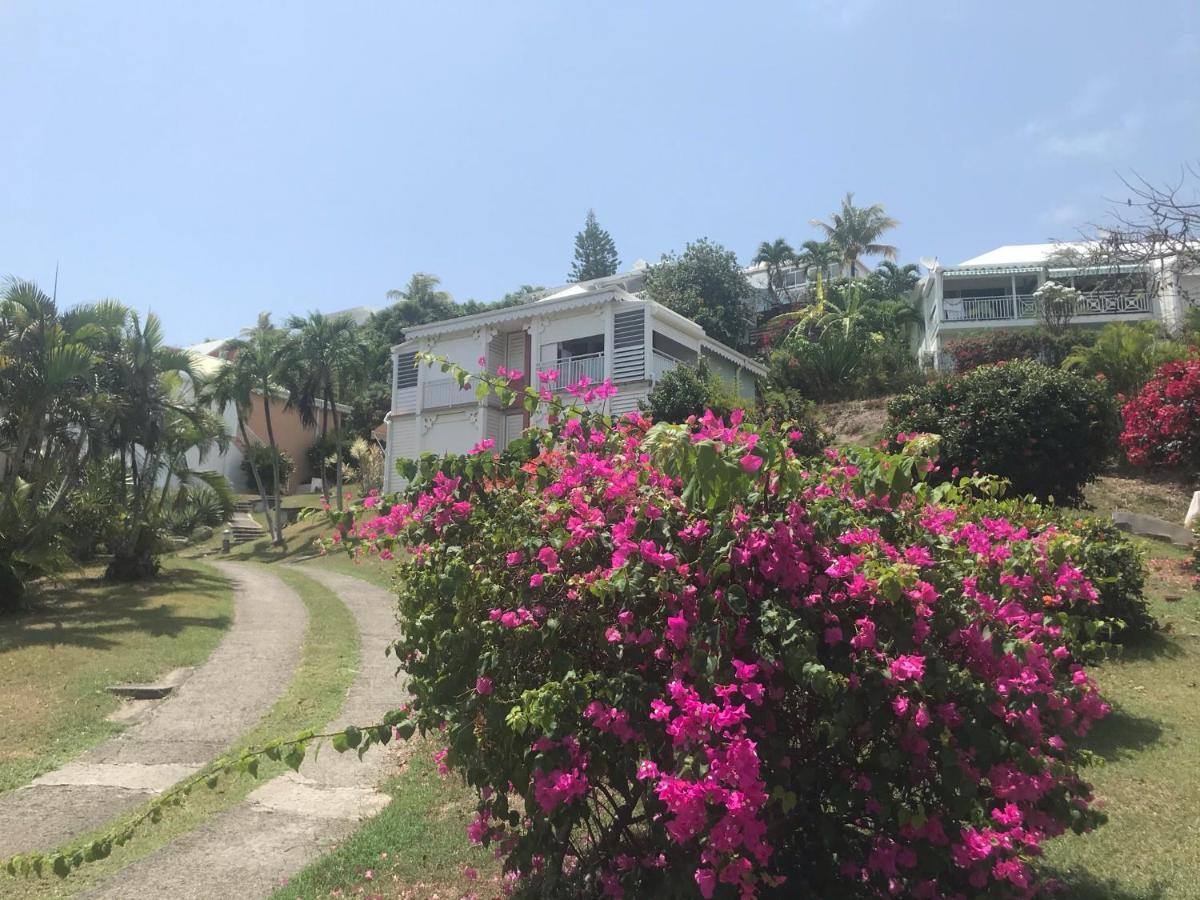 Studio Mojito Vue Mer,Piscine Avec Cuve Eau Et Acces Plage Et Piscine Anse Des Rochers Saint-Francois  Luaran gambar