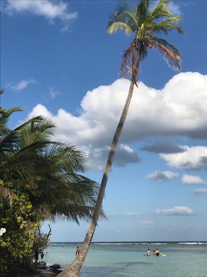 Studio Mojito Vue Mer,Piscine Avec Cuve Eau Et Acces Plage Et Piscine Anse Des Rochers Saint-Francois  Luaran gambar