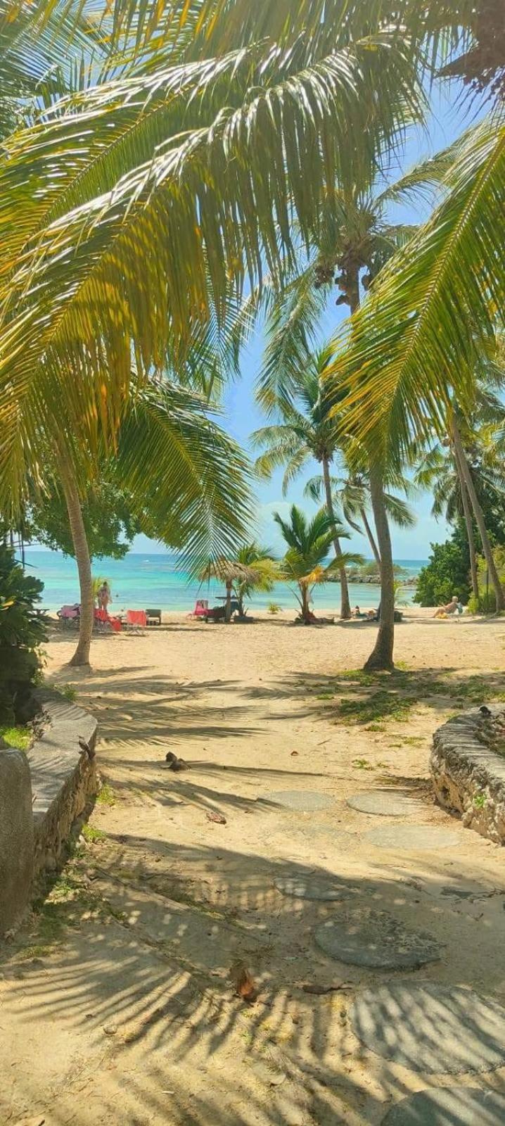 Studio Mojito Vue Mer,Piscine Avec Cuve Eau Et Acces Plage Et Piscine Anse Des Rochers Saint-Francois  Luaran gambar
